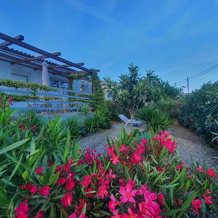 Eucalyptus 2 Casa Indipendente Lägenhet Sanremo